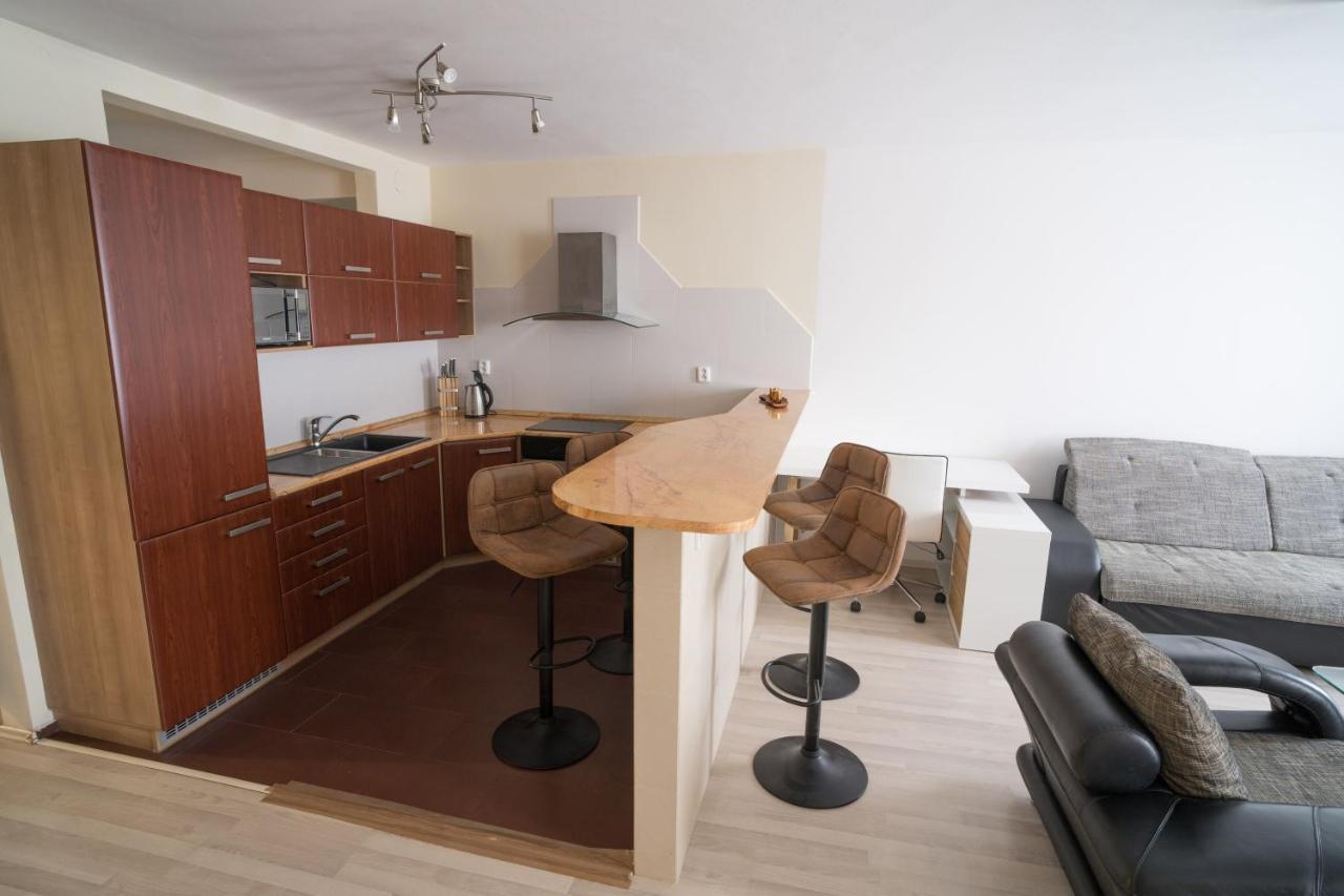 Apartment Vodni With Parking Brno Exteriér fotografie